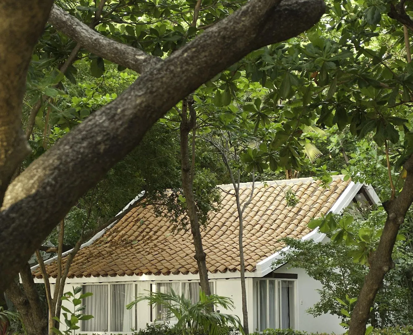 Hotel Irotama Lago Santa Marta  Santa Marta (Magdalena)